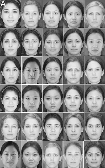 Parent sample of faces.