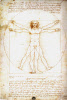 Vitruvian man by Leonardo da Vinci