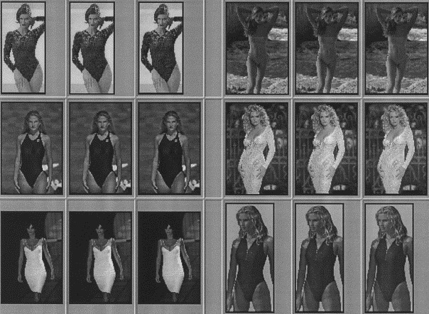 Photos used by Ronald Henss; variation in WHR and attractiveness.