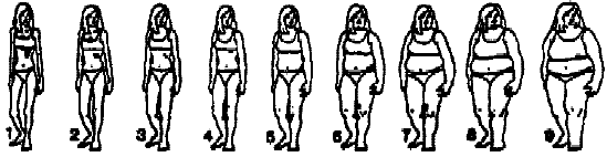 Line drawings of young women.