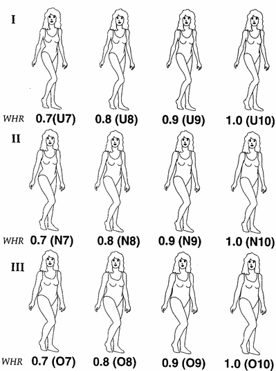 Drawings used by Devendra Singh; attractiveness ratings as a function of variation in WHR and body weight.