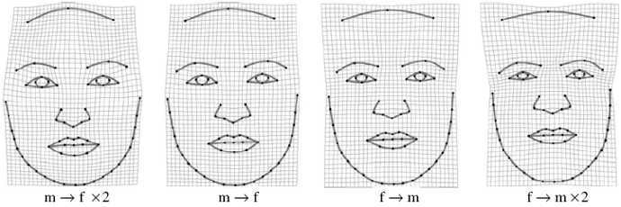 Face shape variation resulting from masculinization and feminization (front view).