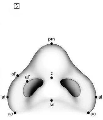 Vista basal de una nariz