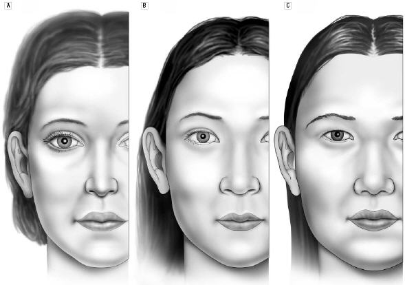 The front views of the average North American white woman (A), the attractive Korean-American woman (B) and the average Korean-American woman (C).