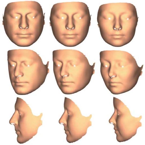 Facial sexual dimorphism revealed by 3D laser scanning and geometric morphometrics.
